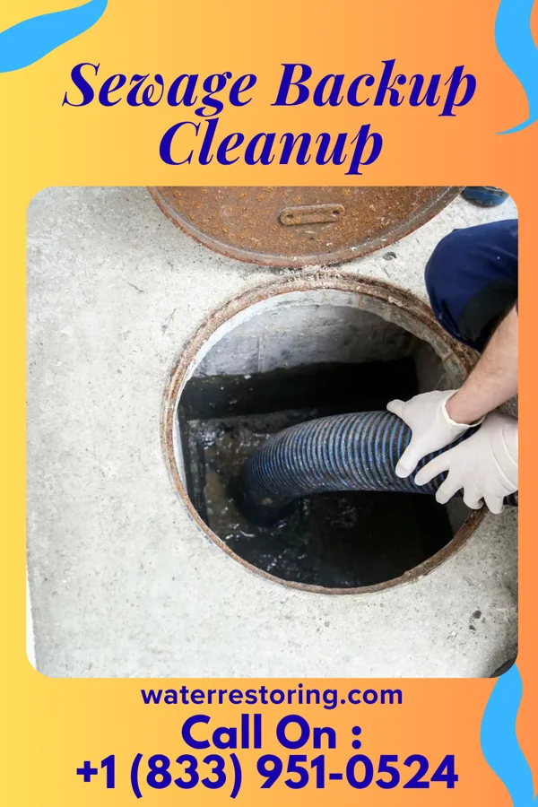 Sewage Backup Cleanup in West Point, VA