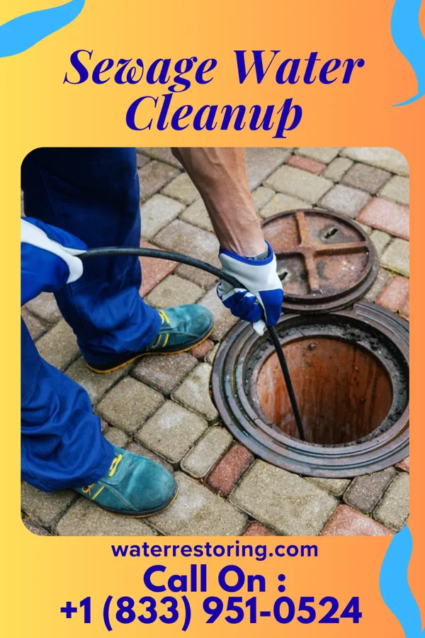 Sewage Water Cleanup in West Point, VA